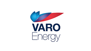 company logo
